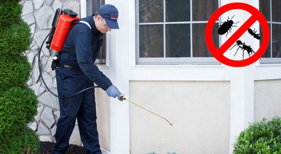 Çamlık Kemirgen İlaçlama böcek ilaçlama ve haşere kontrolü — ilaclama-tr.com